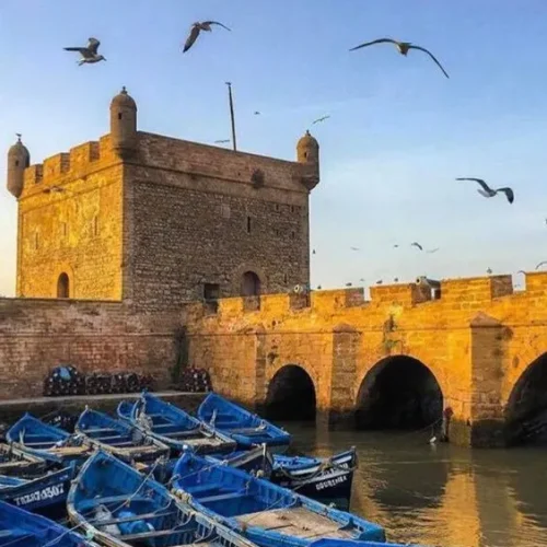 Essaouira Day Trip
